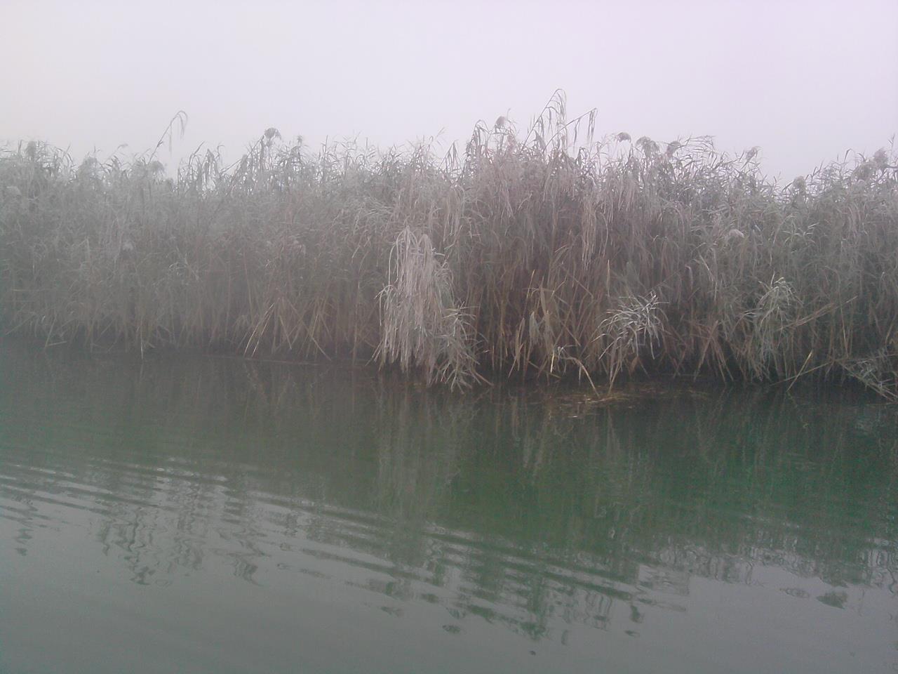 fishing - tare frig era afara......pe siret.......